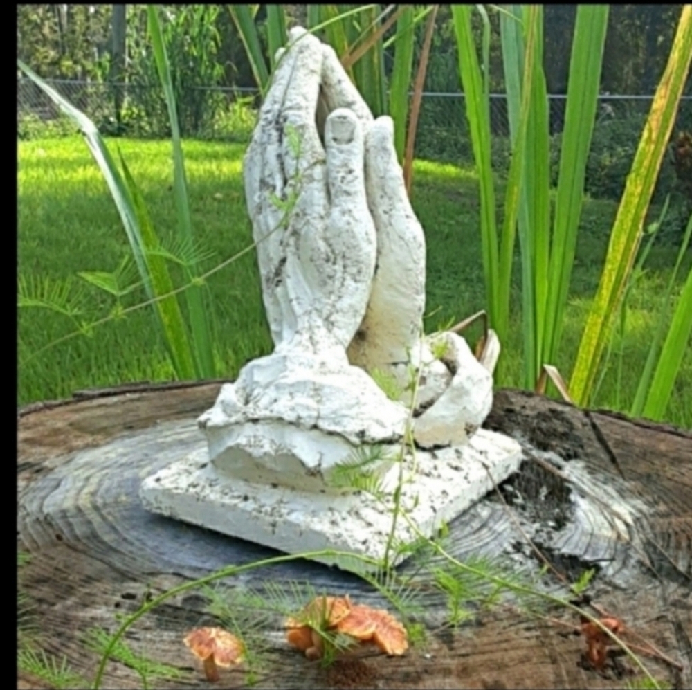 Talbots Canary YELLOW Capris NWOT     Sz 4 Petite - Picture 14 of 15